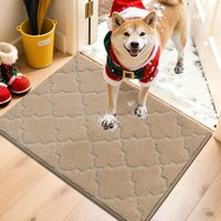 COSY HOMEER Front Door Mat 50x80 CM, Dirt Trapper Floor Mat, Polyester Welcome Door Mat for Kitchen Room Office Entryway Doors, Absorbent Non-Slip Low