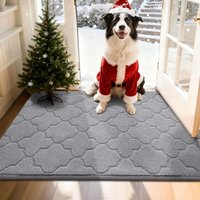COSY HOMEER Front Door Mat 80x120 CM, Dirt Trapper Floor Mat, Polyester Welcome Door Mat for Kitchen Room Office Entryway Doors, Absorbent Non-Slip In