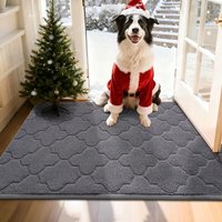 COSY HOMEER Front Door Mat 80x120 CM, Dirt Trapper Floor Mat, Polyester Welcome Door Mat for Kitchen Room Office Entryway Doors, Absorbent Non-Slip In