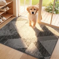 COSY HOMEER Dirt Trapper Door Mat for Indoor 60 x 90 cm, Dirt Trapper Front Door Mat, Polyester Welcome Mat Entrance Rug, Absorbent Non-Slip Indoor Do