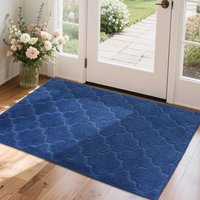 COSY HOMEER Front Door Mat 80x120 CM, Dirt Trapper Floor Mat, Polyester Welcome Door Mat for Kitchen Room Office Entryway Doors, Absorbent Non-Slip Lo