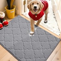 COSY HOMEER Front Door Mat 60x90 CM, Dirt Trapper Floor Mat, Polyester Welcome Door Mat for Kitchen Room Office Entryway Doors, Absorbent Non-Slip Ind