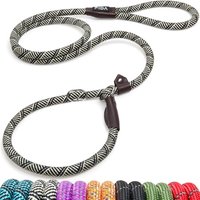 Fida Slip Lead For Dogs, 1.2m / 4FT Training Lead For Dogs, No Pull, No Choke, No Collar or Harness Needed(Grey)