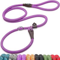 Fida Slip Lead For Dogs, 1.2m / 4FT Training Lead For Dogs, No Pull, No Choke, No Collar or Harness Needed(Purple)