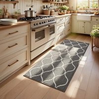 COSY HOMEER Long Kitchen Rug Runner 60 x 120cm, Washable Kitchen Rugs and Mats, Polypropylene Carpet Runner for Kitchen Entryway Hallway Laundry Room,