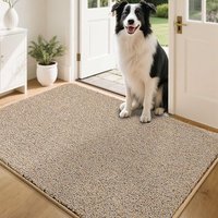 COSY HOMEER Nonslip Door Mats Indoor, 80 x 120cm Washable Dirt Trapper Welcome Front Doormat for Entryway Room Hallway, Absorbent Indoor Floor Mat for