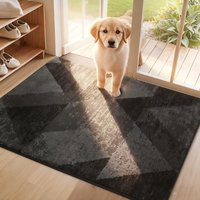 COSY HOMEER Dirt Trapper Door Mat for Indoor 60 x 90 cm, Dirt Trapper Front Door Mat, Polyester Welcome Mat Entrance Rug, Absorbent Non-Slip Indoor Do