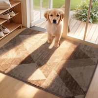 COSY HOMEER Dirt Trapper Door Mat for Indoor 60 x 90 cm, Dirt Trapper Front Door Mat, Polyester Welcome Mat Entrance Rug, Absorbent Non-Slip Indoor Do