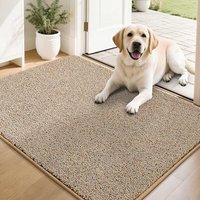 COSY HOMEER Nonslip Door Mats Indoor, 60 x 90cm Washable Dirt Trapper Welcome Front Doormat for Entryway Room Hallway, Absorbent Indoor Floor Mat for