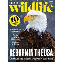 BBC Wildlife Magazine February 2025/526