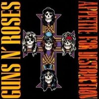 Guns N Roses Vinyl: Appetite For Destruction