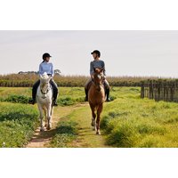Wanderreiten – Genieß das zügellose Vergnügen für Reitanfänger und passionierte Pferdefreunde! Wanderreiten – Genieß das zügellose Vergnügen für Reitanfänger und passionierte Pferdefreunde!