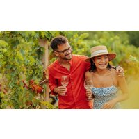 MyDaysde 17% Rabatt WeingutKurzurlaub an der Mosel für zwei Personen 2 Nächte