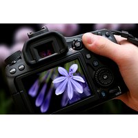 Privater Fotokurs online – Online zum Experten hinter der Linse werden Privater Fotokurs online – Online zum Experten hinter der Linse werden