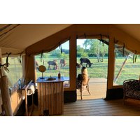 Camping im Tierpark Arche Warder für 2 (2 Nächte) Camping im Tierpark Arche Warder für 2 (2 Nächte)