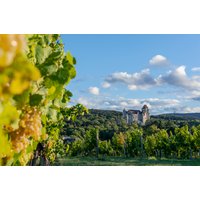 Burgführung Maria Enzersdorf (1 Std.) Burgführung Maria Enzersdorf (1 Std.)