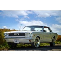 Mustang Oldtimer fahren in der Oberpfalz für 2 (1 Nacht) Mustang Oldtimer fahren in der Oberpfalz für 2 (1 Nacht)