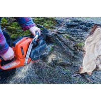 Kettensägenkurs – Lass die Fetzen fliegen Kettensägenkurs – Lass die Fetzen fliegen