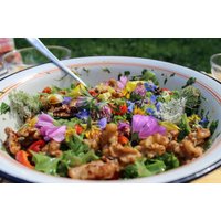 Kräuterwanderung inkl. 5-Gänge-Menü Raum Mönchengladbach Kräuterwanderung inkl. 5-Gänge-Menü Raum Mönchengladbach