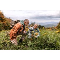 Heilpflanzenkurs Bad Peterstal-Griesbach Heilpflanzenkurs Bad Peterstal-Griesbach