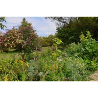 Kräuterwanderung Neunkirchen Kräuterwanderung Neunkirchen