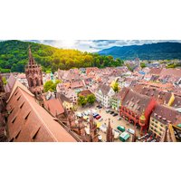 Schnitzeljagd Freiburg im Breisgau Schnitzeljagd Freiburg im Breisgau