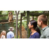 Kurztrip mit Zoobesuch Braunschweig für 2 (2 Nächte) Kurztrip mit Zoobesuch Braunschweig für 2 (2 Nächte)