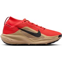 Running Nike Acg Acg Pegasus Trail Gtx