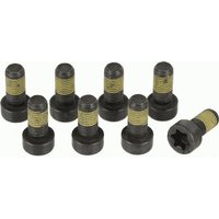 Flywheel Bolt Set SACHS Fits: BMW X7 (G07)
