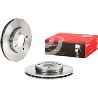 Front Vented Brake Disc Pair - 256mm Diameter Brembo