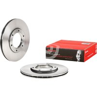 Front Vented Brake Disc Pair - 295mm Diameter Brembo