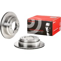 Rear Vented Brake Disc Pair - 313mm Diameter Brembo