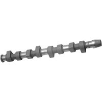Camshaft FEBI Fits: VOLKSWAGEN POLO