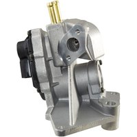 Egr Valve Hella Fits: SEAT LEON