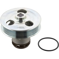 Water Pump FEBI Fits: VOLKSWAGEN BEETLE (New)