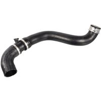 Coolant Hose FEBI Fits: MERCEDES E500