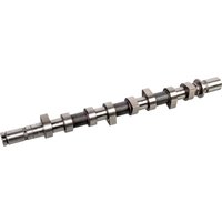 Camshaft FEBI Fits: RENAULT CLIO