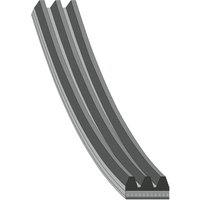 V-ribbed Belts FEBI Fits: TOYOTA AURIS