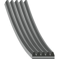 Auxiliary Belt FEBI Fits: AUDI S4