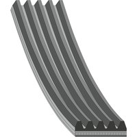 Auxiliary Belt FEBI Fits: CHRYSLER YPSILON