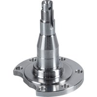 Axle Beam Kingpin - Rear Lh/rh FEBI Fits: SEAT INCA