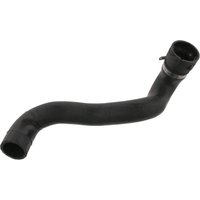 Radiator Hose - Rh Lower FEBI Fits: MERCEDES S430