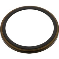 Abs Sensor Ring FEBI Fits: RENAULT SCENIC