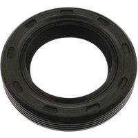 Manual Transmission Shaft Seal FEBI Fits: AUDI V8