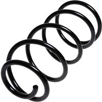 LESJOFORS Ford Focus Coil Spring - Front | 4027604 | GSF Car Parts
