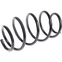 LESJOFORS Nissan Qashqai Coil Spring - Front | 4062061 | GSF Car Parts