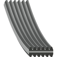 V-ribbed Belts FEBI Fits: BMW 116