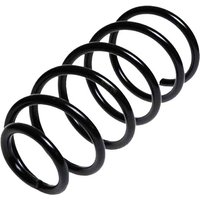 LESJOFORS Volkswagen Beetle Coil Spring - Front | 4095045 | GSF Car Parts