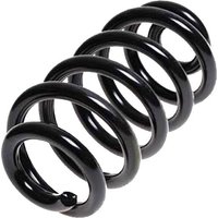 LESJOFORS Audi A6 Coil Spring - Rear | 4204251 | GSF Car Parts