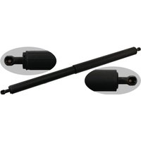 Boot Gas Spring - Lh/rh FEBI Fits: BMW 550